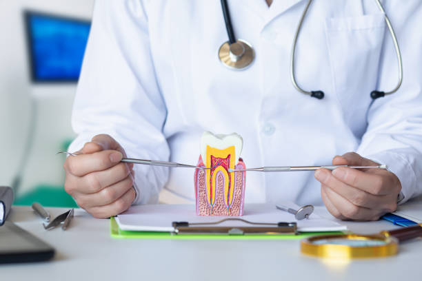 Best Emergency Dental Care for Trauma or Injury in West Long Branch, NJ